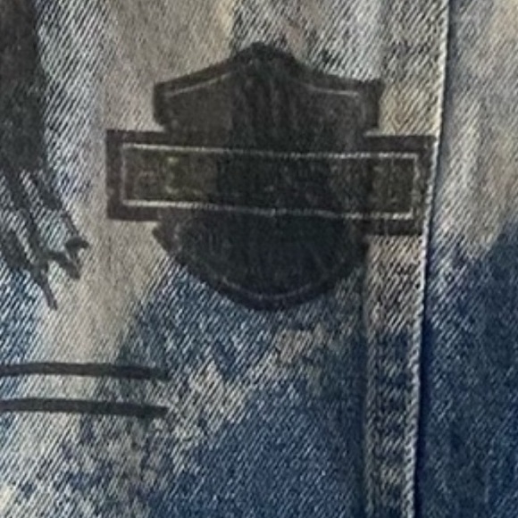 THE LAUNDRY ROOM BORN IN THE USA / HELLS ANGELS / HARLEY DAVIDSON DENIM JACKET - Picture 11 of 15
